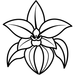 Orchid Oasis line art art vector