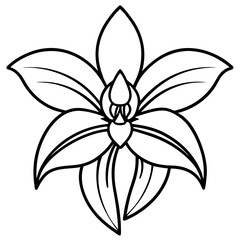 Orchid Oasis line art art vector