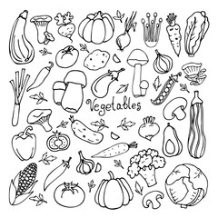 set of black and white doodle drawings of vegetables, hand drawn in cartoon style on a white background.