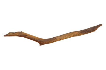 Realistic dry tree branch isolated on transparent background. PNG dead branch, Cut out