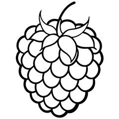 Blackberry line art art vector