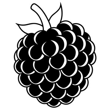 black blackberry fruit outline clip art preview