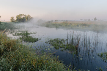 misty morning on the lake
