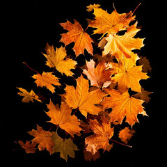 Fototapeta premium autumn maple leaf in isolated white background falling autumn leaves is highlighted on a white background: Generative AI. 