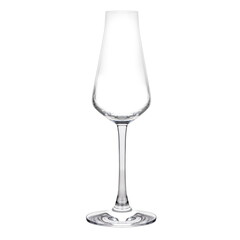 Empty luxury champagne glass isolated on a white background
