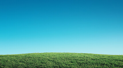 Fototapeta premium Park pod czystym, błękitnym letnim niebem, z zielonymi trawnikami i drzewami w tle, oferujący szeroką przestrzeń na tekst.