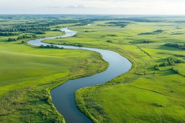 Obraz premium Serene River Winding Through Lush Green Meadows: A Breathtaking Aerial View of Nature's Beauty
