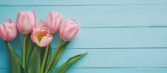 Fototapeta premium Pink tulip bouquet on blue wooden background with ample copy space ideal for spring promotions or floral-themed designs