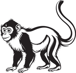Monkey silhouette vector illustration, Monkey line art vector