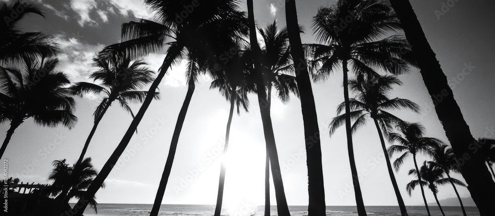 Poster silhouetted palm trees along a tranquil shoreline creating dramatic shadows at sunset in a black and
