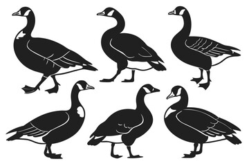 set of goose