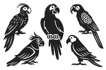 set of parrot birds