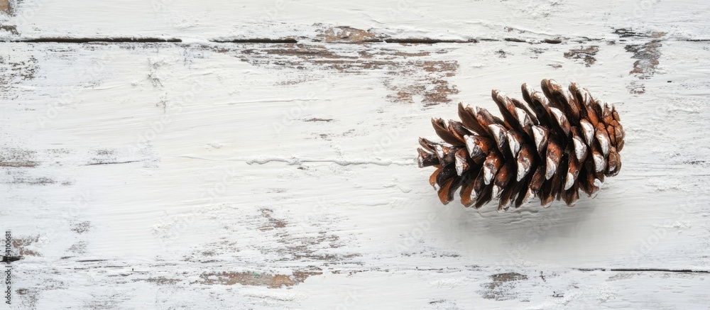 Aufkleber pine cone placed on a rustic white wooden surface creating a natural and serene atmosphere for home 