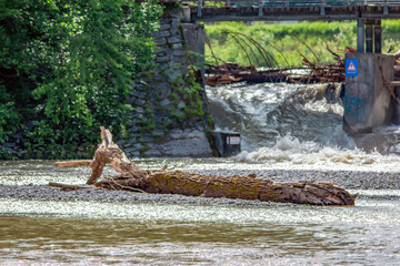 In summer, the Isar flooded in Munich. Current and driftwood in the water. View of the bridge.
