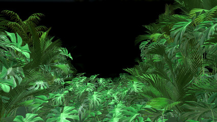 Tropical Leaves Tunnel Background 