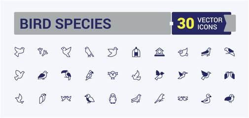 Bird Species icon. Containing gull, flight, duck, drawing, pen, art, chick, wildlife. Collection for mobile and web apps. Outline and solid pictogram.