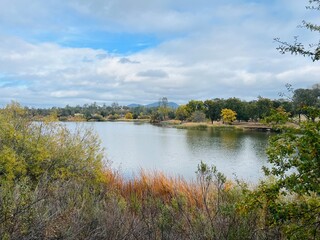landscape with lake