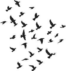 Birds Flying Silhouette Vector Illustration Graphic