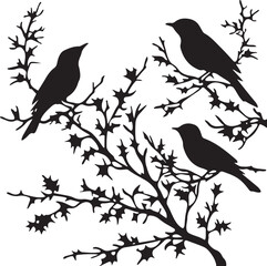 Blackbirds on Branches Silhouette Vector Illustration Graphic
