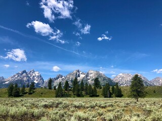 Grand Tetons 