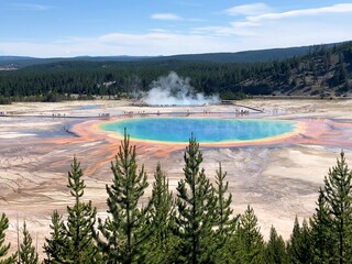 Yellowstone national park