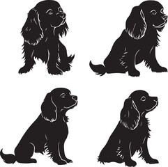 Cavalier King Charles Spaniel Dog Silhouette Set Vector Illustration Graphic
