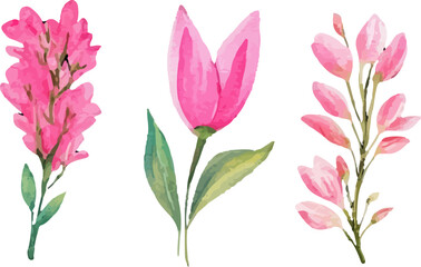 Fototapeta premium bouquet of pink tulips
