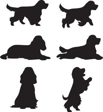 Cocker Spaniel Dog Shapes Silhouette Set Vector Illustration Graphic