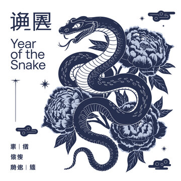 vector happy Chinese new year, year of the snake 