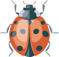 illustration of a bug