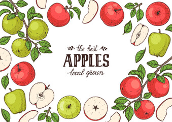 Apple fruit frame. Hand drawn vector illustration. Apple collection.
