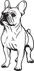 French Bulldog Sketch Vector Illustration Graphic