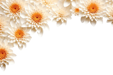Fototapeta premium PNG Chrysanthemum flower backgrounds chrysanths.