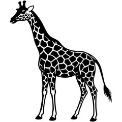 Giraffe Silhouette on White Background