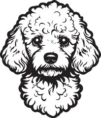 Poodle Dog Face Stylized Vector Illustration Graphic