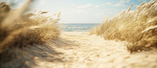 Sandy summer beach pathway with blurred sea backdrop evoking travel relaxation and coastal adventure in warm sunlight