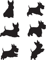 Scottish Terrier Dog Silhouette Set Vector Illustration Graphic