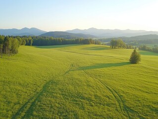 Lush Green Meadow with Rolling Hills and Vibrant Blue Sky in Sunset Light