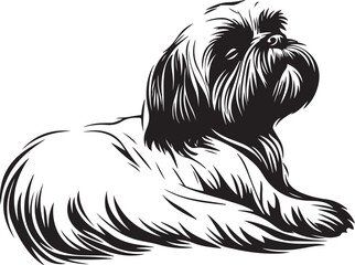 Shih Tzu Dog Lying Down Stylized Vector Illustration Graphic