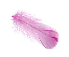 One fluffy pink feather isolated on white