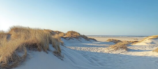 Serene sand dunes under a clear blue sky with gentle grass accents creating a tranquil coastal landscape for nature lovers and travelers.