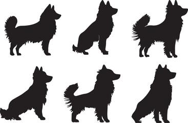 Swedish Valhound Silhouette Set Vector Illustration Graphic