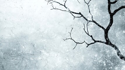 Naklejka premium A moody, minimalist image of a barren tree branch against a textured, foggy background, evoking a sense of solitude and tranquility.