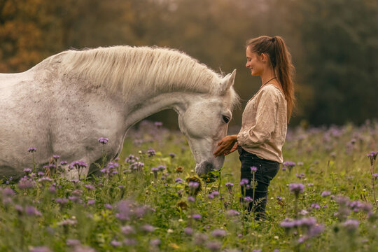 A young woman cuddle and interact with her white spanish horese on a wildflower field in autumn outdoors