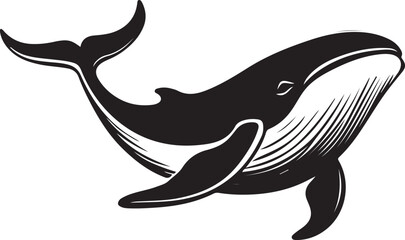 Whale Swimming Stylized Vector Illustration Graphic