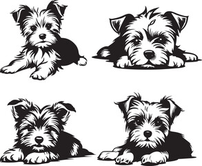 Yorkshire Terrier Dog Puppies Lying Down Stylized Set Vector Illustration Graphic