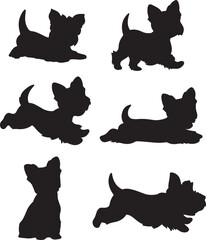 Yorkshire Terrier Dog Shapes Silhouette Set Vector Illustration Graphic