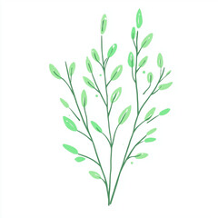 Fototapeta premium Cute minimalistic plant illustration on white background, vector style