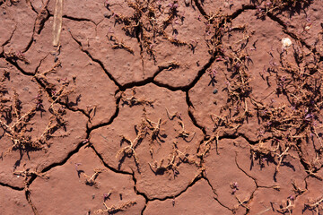 Cracked layer of silt coated with iron salts.