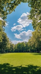 beautiful wooded park with a blue sky with clouds with copy space vertically 9:16